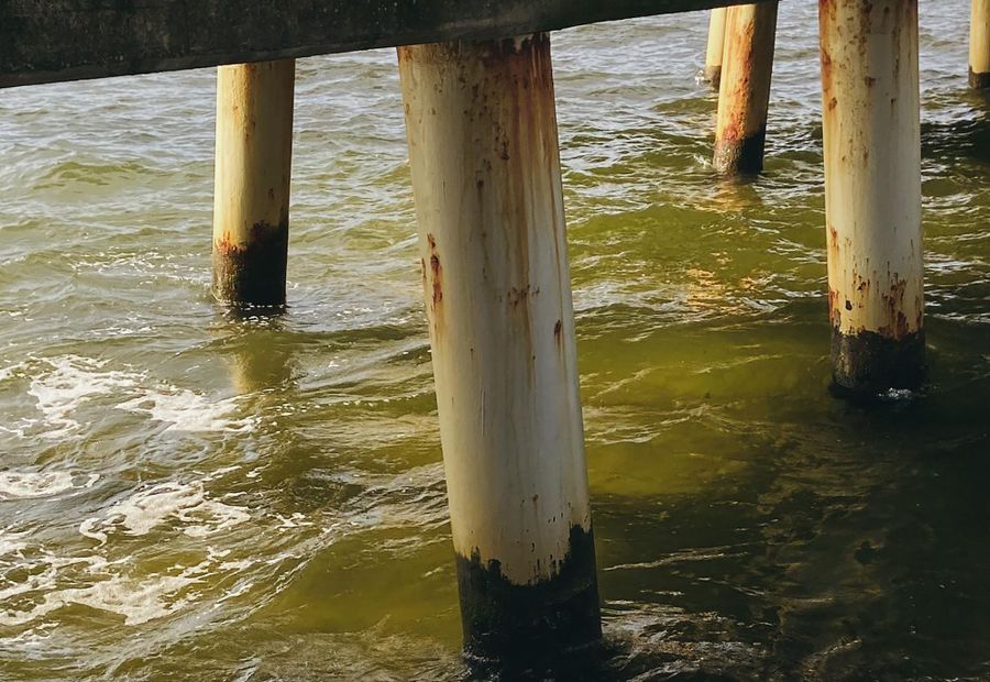 Timber dock on pilings along a Barnegat Bay lagoon
